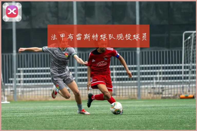 法甲布雷斯特球队现役球员