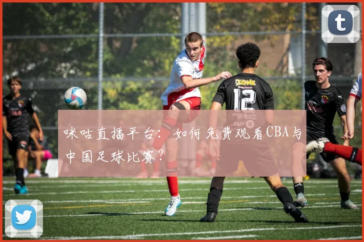 咪咕直播平台：如何免费观看CBA与中国足球比赛？
