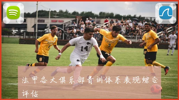 法甲各大俱乐部青训体系表现综合评估
